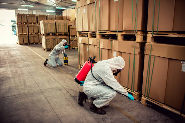 Best Local Pest Control Services  in Cobb Island, MD