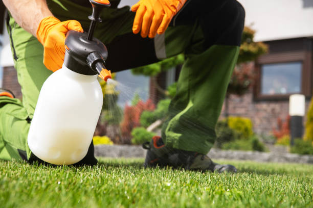 Best Commercial Pest Control Services  in Cobb Island, MD