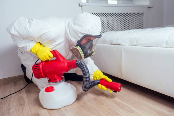 Best Flea Control Services  in Cobb Island, MD