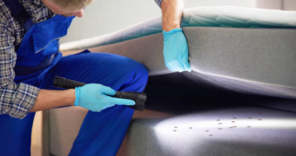 Best Pest Removal Services  in Cobb Island, MD