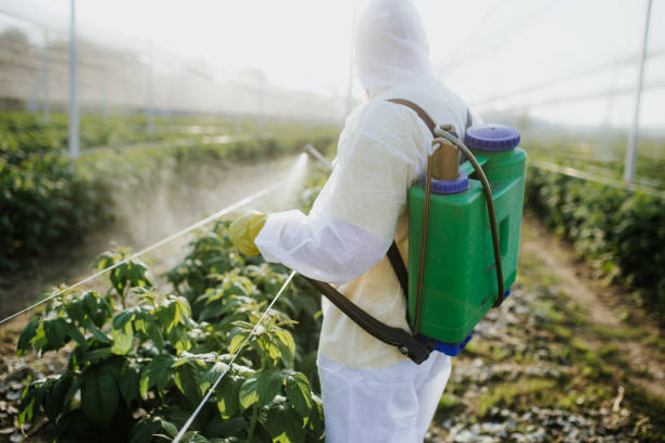 Best Residential Pest Control  in Cobb Island, MD